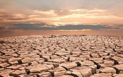 Towards combating desertification - The Hindu BusinessLine | Biodiversité | Scoop.it