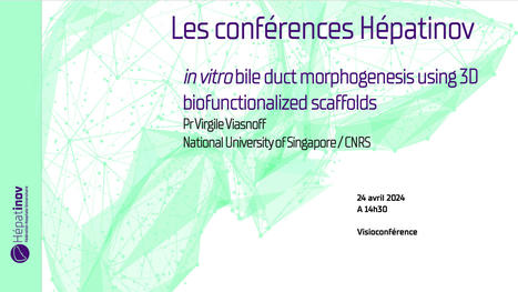 Les conférences Hépatinov - in vitro bile duct morphogenesis using 3D biofunctionalized scaffolds - 24 avril 2024 | Life Sciences Université Paris-Saclay | Scoop.it