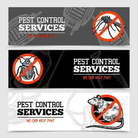 Pest Infestations in Delhi and Gurgaon - Causes and Prevention Measures: ext_6333522 — LiveJournal | Pest Control Services | Scoop.it