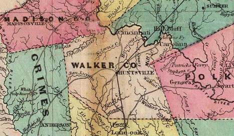 Tour | The Yellow Fever Epidemic of 1867 | East Texas History | Peter Hotez MD PhD | History of Immunology | Scoop.it