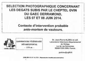 Vautours: Stratégie du "changement" de comportement et conflit d'intérêts | Pastoralisme Ours Loups Lynx | Scoop.it