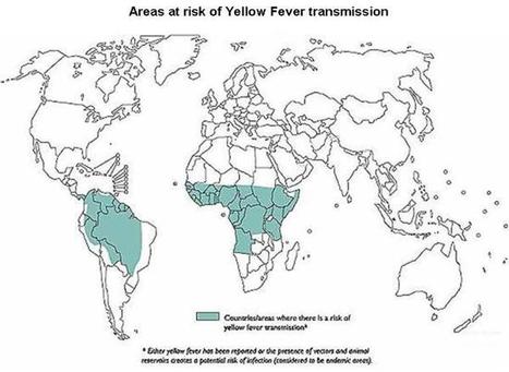 WHO | Yellow fever : a current threat (but not in South Africa) | Virology News | Scoop.it