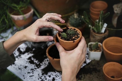 Des id&eacute;es toutes simples pour jardiner chez soi &ndash; Que Faire &agrave; Paris ? | Nature en ville | Scoop.it