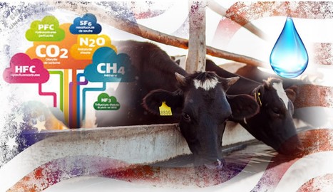 Les fermes laitières américaines progressent sur la plupart des indicateurs environnementaux | Lait de Normandie... et d'ailleurs | Scoop.it