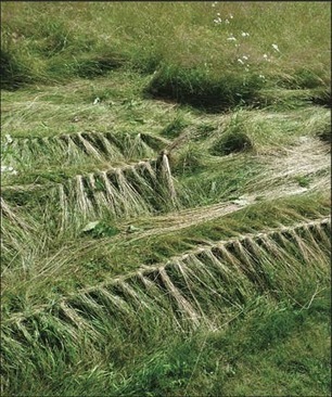 Pamela Callender: "Grass Braiding" | Art Installations, Sculpture, Contemporary Art | Scoop.it