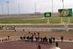 Turkménistan : le président tombe de cheval, la vidéo galope (lemonde.fr) - via 1001portails | Cheval et sport | Scoop.it