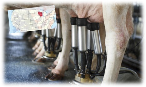 USA : Le nombre de fermes laitières du Wisconsin chute à 5 661 | Lait de Normandie... et d'ailleurs | Scoop.it