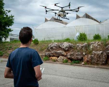 Des drones pour combattre la chenille processionnaire du pin | EntomoNews | Scoop.it