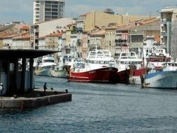 France : S&egrave;te, le premier port de M&eacute;diterran&eacute;e en p&eacute;nurie de poissons | CIHEAM Press Review | Scoop.it