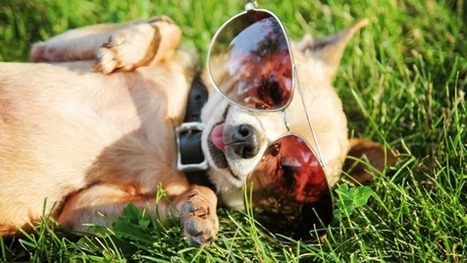 6 Instagram Tools to Improve Your Social Media Marketing | Top Social Media Tools | Scoop.it