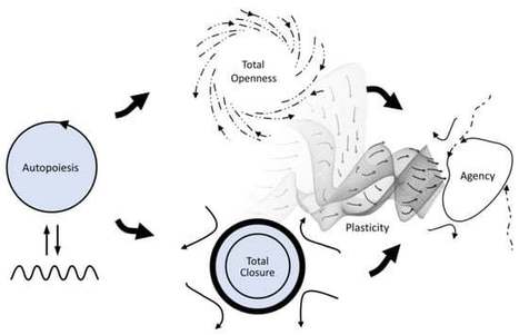 Irruption Theory: A Novel Conceptualization of the Enactive Account of Motivated Activity | Papers | Scoop.it