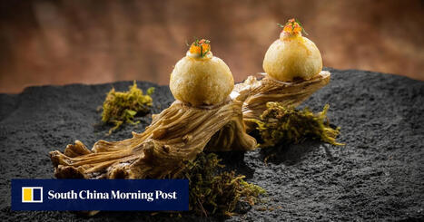 Macau&rsquo;s culinary festival highlights luxury dining alongside sustainability | Luxury Marketing | Scoop.it