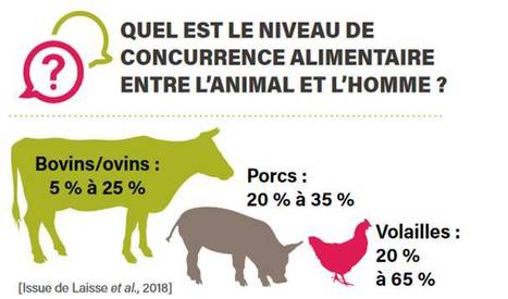 Utilisation des terres agricoles : est-ce que les animaux d’élevage concurrencent l’alimentation humaine ? | Lait de Normandie... et d'ailleurs | Scoop.it