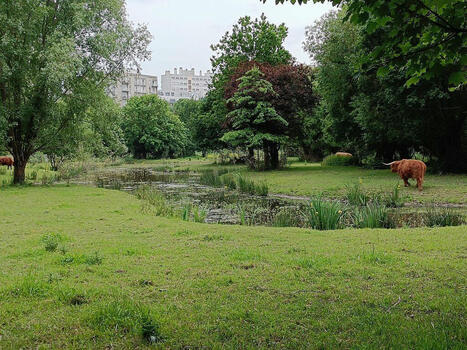 Plan Nature En Ville, un pas en avant pour la biodiversité urbaine ? | Demain la ville | La SELECTION du Web | CAUE des Vosges - www.caue88.com | Scoop.it
