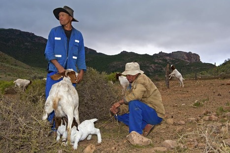 COVID-19 : Home farming takes root in Lebanon amid coronavirus shortages  | MED-Amin network | Scoop.it