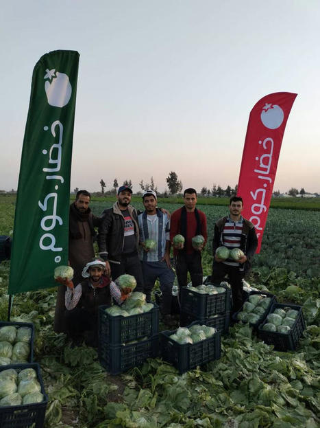 Generation Start-up: How Khodar aims to play key role in EGYPT's agricultural revolution | MED-Amin network | Scoop.it