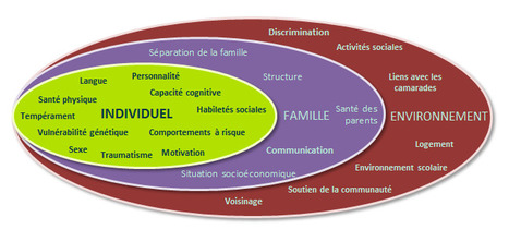 L'efficacité du marketing social en promotion des saines habitudes de vie | Italian Social Marketing Association -   Newsletter 225 | Scoop.it