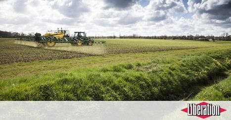 N&eacute;onicotino&iuml;des&nbsp;: Matignon pris dans le&nbsp;pot de miel | EntomoNews | Scoop.it