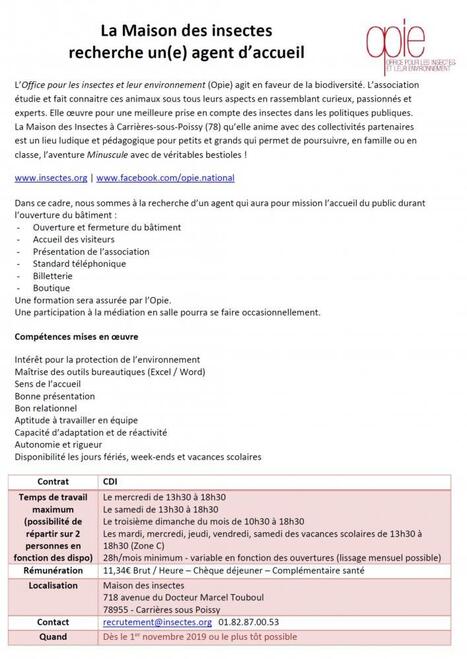 Pour le Noël pêcheur ou wormam Ver étonnant de ne pas acheter Nightcrawlers plus