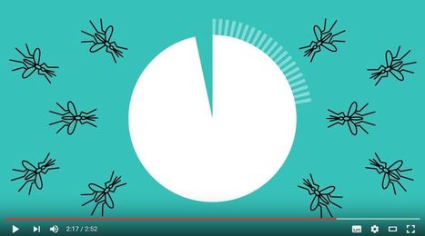 Journée mondiale de lutte contre le paludisme 2016 : en finir définitivement | Variétés entomologiques | Scoop.it
