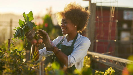 Gardening is a great form of exercise, according to experts | Physical and Mental Health - Exercise, Fitness and Activity | Scoop.it