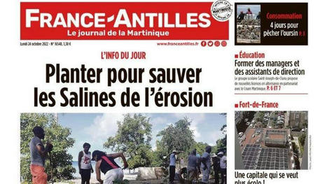 France-Antilles Martinique à nouveau imprimé dans l'île | DocPresseESJ | Scoop.it