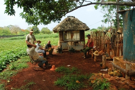 Comment les cubains ont converti leur île au bio | Nouveaux paradigmes | Scoop.it