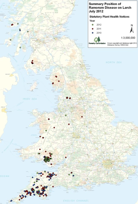 Forestry Commission: Phytophthora ramorum outbreak and risk zones maps (2012) | Plants and Microbes | Scoop.it