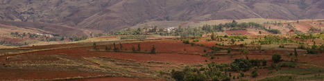 Soils4Africa makes 11,000 SOIL data points from 21 African countries available | CIHEAM Press Review | Scoop.it