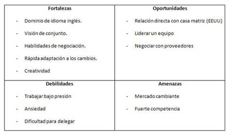 Fortalezas y debilidades de tu perfil profesional. | Cosas que interesan...a cualquier edad. | Scoop.it