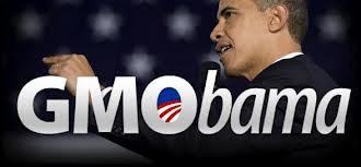 Meet Monsanto's number one lobbyist: Barack Obama | YOUR FOOD, YOUR ENVIRONMENT, YOUR HEALTH: #Biotech #GMOs #Pesticides #Chemicals #FactoryFarms #CAFOs #BigFood | Scoop.it