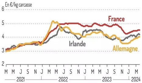 Les prix des vaches O en hausse en France et en Europe | Lait de Normandie... et d'ailleurs | Scoop.it