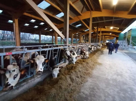 Unique en Normandie, cette ferme expérimentale inaugure ses nouvelles installations | Lait de Normandie... et d'ailleurs | Scoop.it