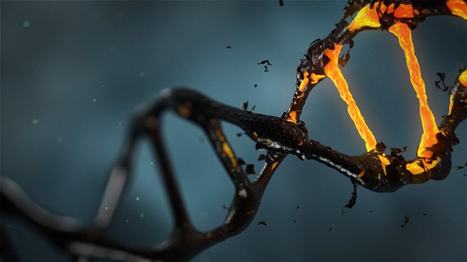 Large DNA deletions occur during DNA repair at 20-fold lower frequency for base editors and prime editors than for Cas9 nucleases | Nature Biomedical Engineering | Genetic Engineering Publications - GEG Tech top picks | Scoop.it