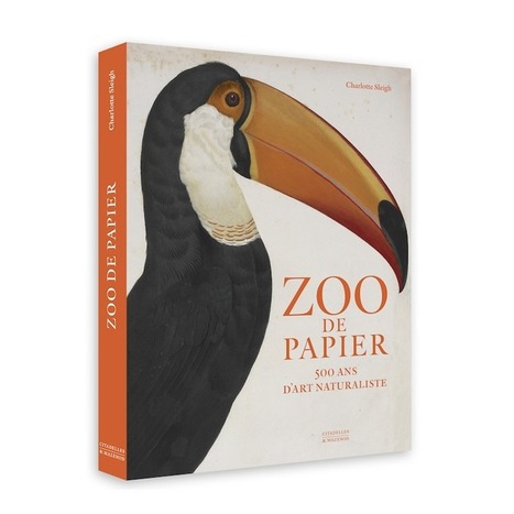 Zoo de papier-Charlotte Sleigh- | Produits Beaux Arts-Livres et Manuels d'art-Documents- | Scoop.it