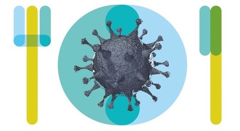 Appel à retour d'expérience : manger au temps du coronavirus | CIHEAM Press Review | Scoop.it
