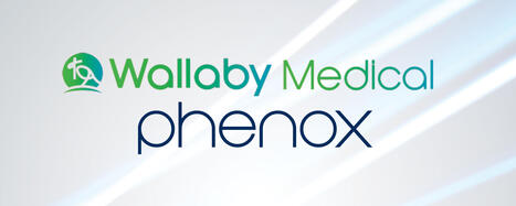 Wallaby Acquires German Neurovascular Leader Phenox to Accelerate Global Expansion | Neurovascular Intervention | Scoop.it