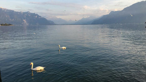 Suisse: les eaux du lac Léman au bord de l’asphyxie, une menace pour la biodiversité | Biodiversité | Scoop.it