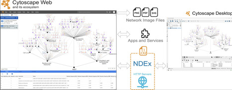 Cytoscape Web: bringing network biology to the browser | nar | RMH | Scoop.it
