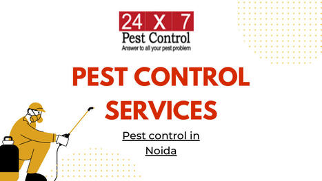 Pest control in Noida | Pest Control Services | Scoop.it
