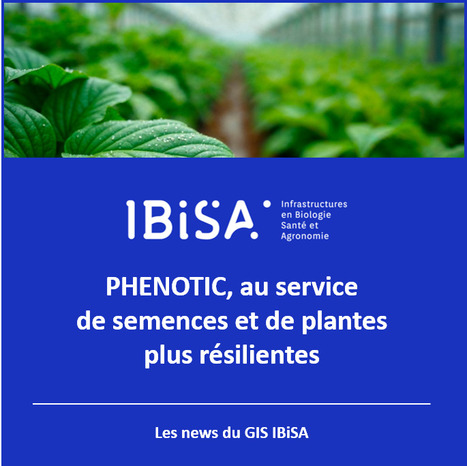FOCUS PLATEFORME : PHENOTIC, une plateforme au service de semences et de plantes plus r&eacute;silientes | Life Sciences Universit&eacute; Paris-Saclay | Scoop.it