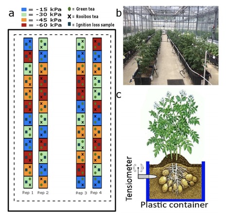 Original Paper in Sci Rep &bull; Gumiere Collaboration 2021 &bull;&nbsp; Association between irrigation thresholds and promotion of soil organic carbon decomposition in sandy soil | Originals | Scoop.it