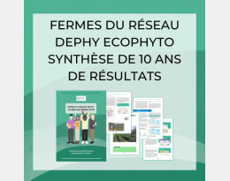Les résultats du réseau DEPHY FERME en 2023 - Ecophytopic | Biodiversité | Scoop.it
