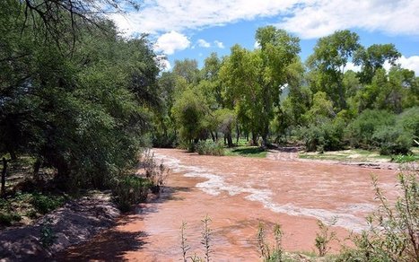 Communities along Rio Sonora may get relief from 2014 toxic mine spill / le 21.01.2020 | Pollution accidentelle des eaux par produits chimiques | Scoop.it