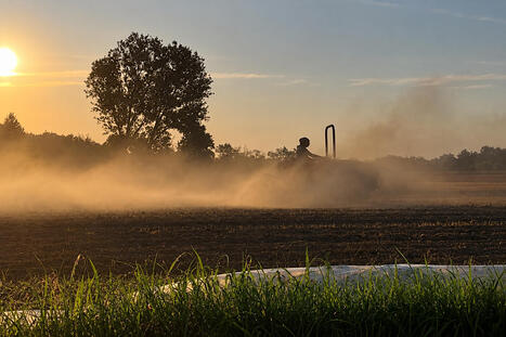 ITALIA : Piccole aziende agricole e crisi climatica: la proposta della Rete SemiUrbani | CIHEAM Press Review | Scoop.it