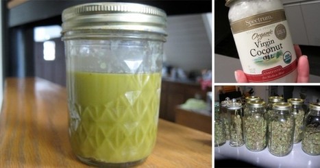 Cannabis and coconut oil make powerful mixture to kill cancer cells and not only... | Health Supreme | Scoop.it