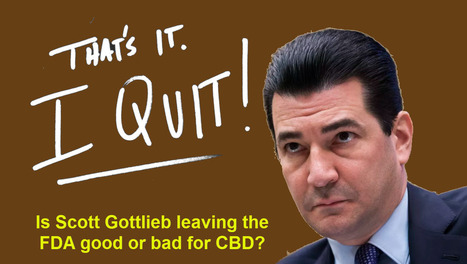 What Will Happen To CBD Now That FDA Commissioner Gottlieb Has Resigned? | Cannabis.Net | Scoop.it