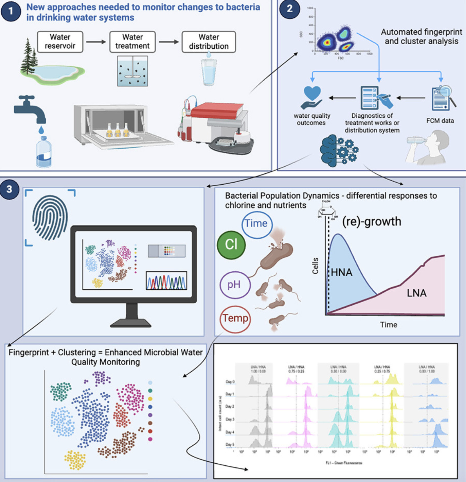 Assessing microbial growth in drinking water us...