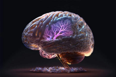 Neuroscienze / La lettura del pensiero non è più fantascienza | Bounded Rationality and Beyond | Scoop.it