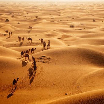 Le vaste désert d’Arabie était autrefois un paradis vert et luxuriant | Les déserts dans le monde | Scoop.it